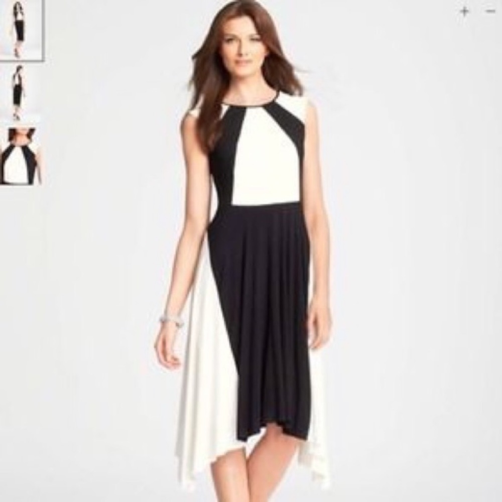 Ann Taylor Gorgeous Swingy Dress EUC